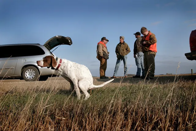 John Kerry pheasant hunting in Iowa, 2003, his bird dog distracted in the foreground